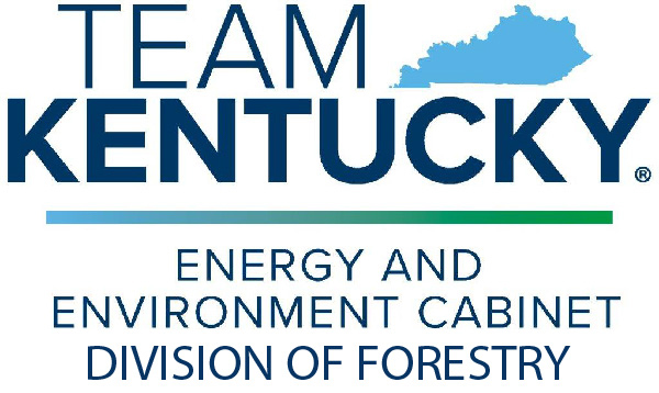 Team KY Logo